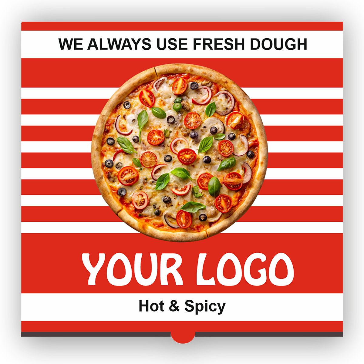 Pizza 9′ Inches Base 2